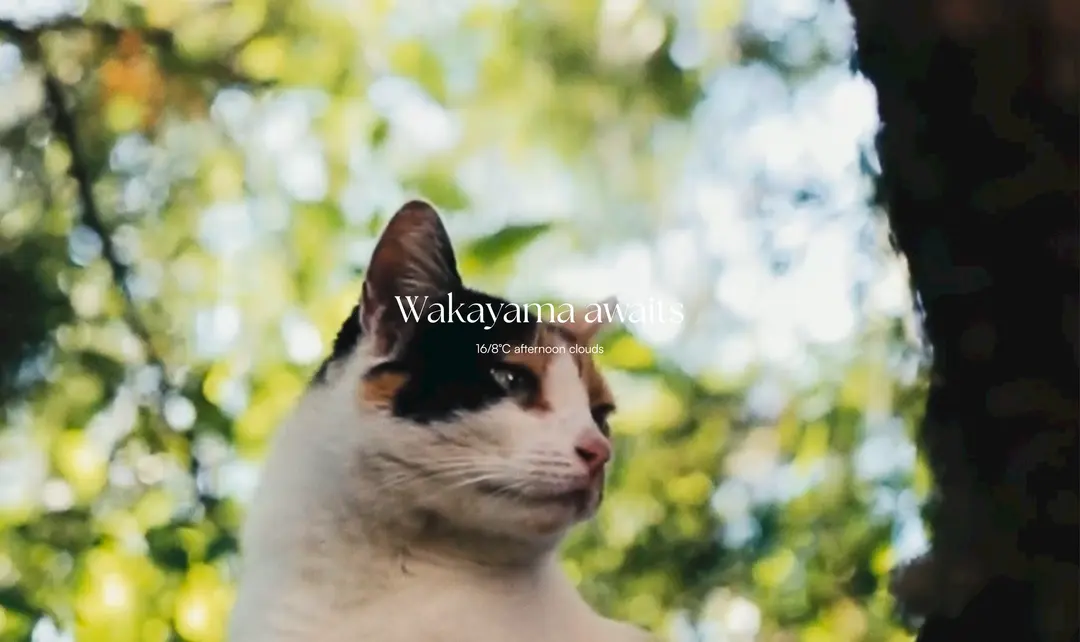 Wakayama
